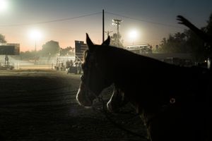 Brawley, California