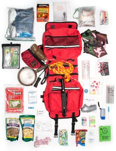 Daisy's Bug Out Bag