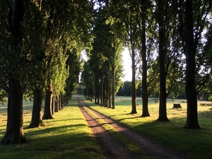 The road less traveled...
