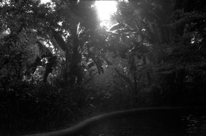 "Lai Chi Kok Park Hong Kong"