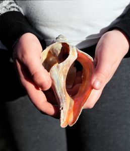 Conch