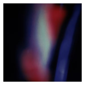 Twilight | Secret Life of Plants XIV