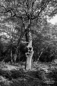 Epping Forest | 10