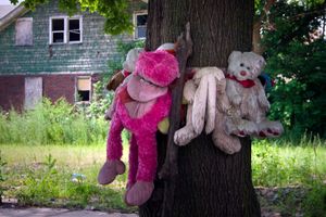 © Nicholas Gregory.     Stuffed animals serve as memorials to children slain in Detroit. Children are dying in Detroit at a greater rate than any U.S. city its size or larger.