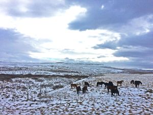 "Life in the cruel, cold lacuna"