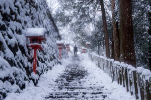 to the temple