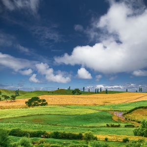 Greener side of  New Zealand