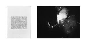 L:  "Shiva's pigeons" (Jon and Rumer Godden and Stella Snead, 1972)/ R: Thural, H.P. 1996, from "Notes from the Stone-Paved Path"  © 2003, Lewis Koch