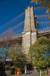 Williamsburg Bridge in the fall.