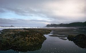 Rialto Beach, Olympic National Park