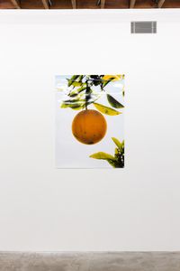 Orange II, December 31, 2017, Huntington Beach, CA, 2018, Chromira print, 40 x 30 inches