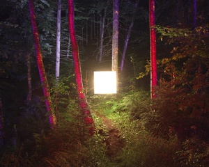 Alternatives landscapes