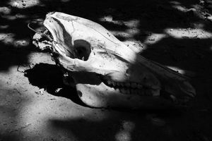 What remains