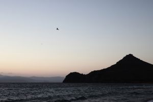 second morning #15