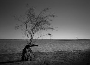 Walkers