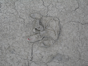 white glove in light mud