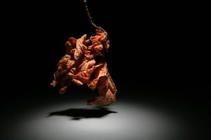 Libretto of Ballet (series)
