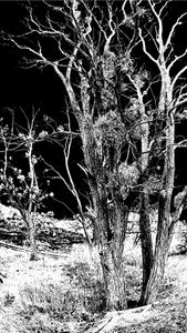 Light and shadow 10