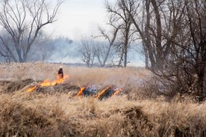 Prescribed Burn