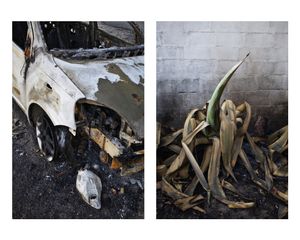 Portraits of a fire / Retratos de un incendio