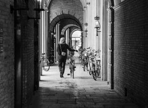 Bikes of Copenhagen