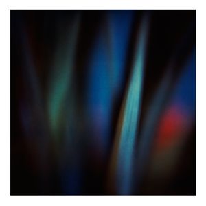 Twilight | The Secret Life of Plants VI