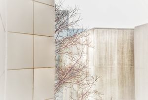 The Intersection of Yamasaki, Birkerts, and WRL