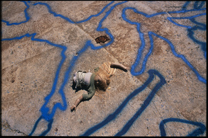 Columbia Street, Brooklyn, 2008