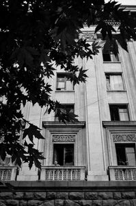 The Window
