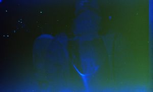 Winterstanders 04