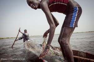 From the series Nile Water Access, Another War