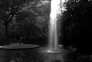 "Kowloon Park Hong Kong"