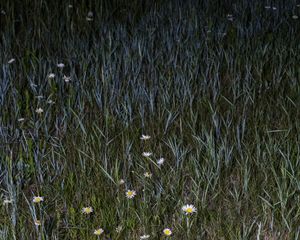 From the project, Wide Eyed © Jon Horvath