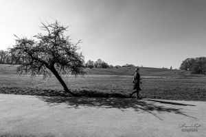 On Hampstead Heath | 16