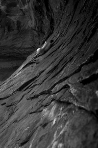 Sleeping Wave