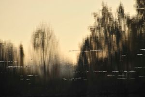 Fragility