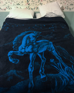 Unicorn Dreams