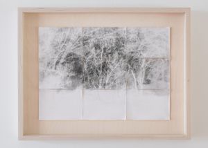 Pinhole Studies [riverscapes 010] © Meghan Duda 2014