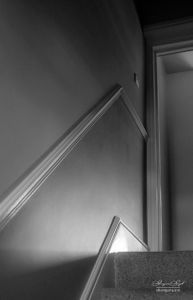 Still Life | 09