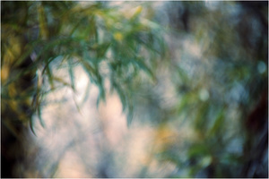 In a Landscape #4