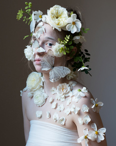 White Flowers, Butterflies