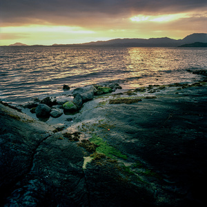The Almighty Sea