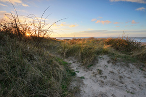 Dunelands III