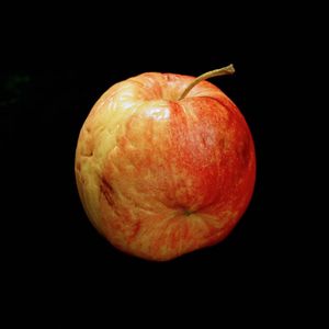 Detail from Genetic Traits (Lot 4135), 2003, chromogenic prints, Edition of 3 © Cynthia Greig