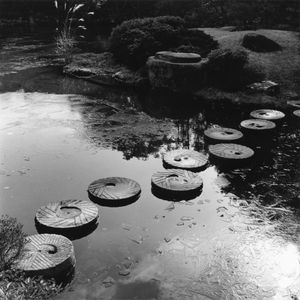 Ice Pond, Nara