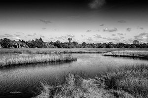 Dennis Creek Downstream