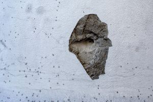 © Petr Toman