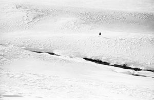 Nel Bianco