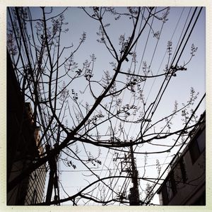 A walk in Tokyo