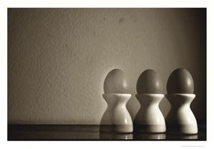 Eggs(bio)